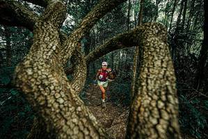 BIB: 
                            <button type="button" onclick="openModal(25668566)" class="btn btn-primary btn-sm float-right btn-popup" data-toggle="modal" data-target=".modal-high-quality">
                        <i class="fas fa-shopping-cart"></i> Add to Cart
                    </button>
                                            <button type="button" onclick="isThisMe(25668566, true)" class="btn btn-success btn-sm float-right btn-popup btn-isme hidden" data-toggle="tooltip" data-placement="bottom" title="นี่คือรูปของคุณใช่ไหม คลิกที่นี่เพื่อเอาเข้าอัลบั้ม">
                        <i class="fas fa-plus"></i> Add to album
                    </button>
                    <button type="button" onclick="isThisMe(25668566, false)" class="btn btn-warning btn-sm float-right btn-popup btn-isnotme hidden">
                        <i class="fas fa-ban"></i> Remove from album
                    </button>